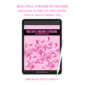 Multiple Income Streams MRR PLR